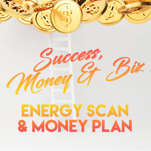 Private Success & Money & Biz Reading & Healing