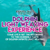 Dolphin Light Weaving Experience