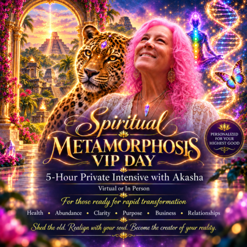 METAMORPHOSIS - Personalized VIP Day (Virtual or In Person)